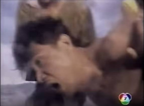 %e0%b8%82%e0%b8%b8%e0%b8%99%e0%b8%a3%e0%b8%ad%e0%b8%87%e0%b8%9b%e0%b8%a5%e0%b8%b1%e0%b8%94%e0%b8%8a%e0%b8%b9