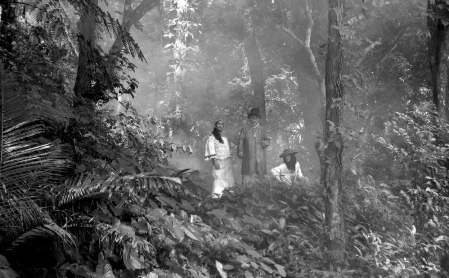 lullaby-to-the-sorrowful-mystery-a-2016-001-trio-in-jungle-canopy